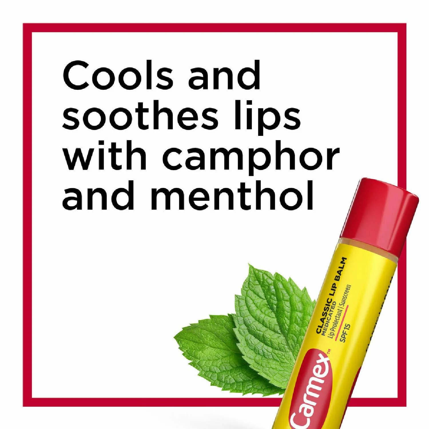 Carmex Classic Lip Balm, Lip Protectant Sunscreen Spf 15, 0.15 Oz - 12 Pack - Image 3